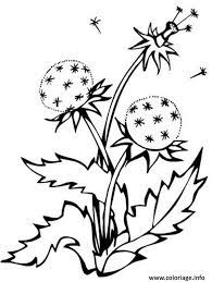 25 coloriage panier de fleurs a imprimer nouveau dandelion pictures coloring pages cute loup
