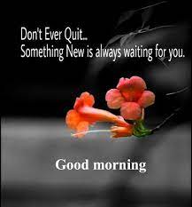 Pin On Good Morning