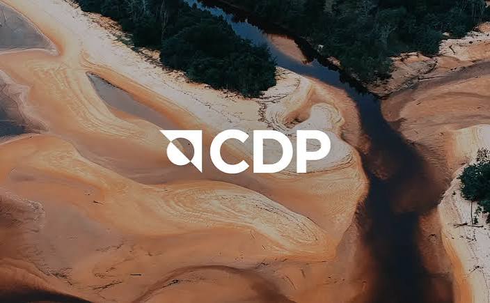 CDP reporting for businesses in 2026 – Step by step - Sweep