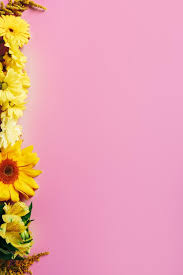 Add cut blooms to beautiful arrangements for a pop of lime green. Flat Lay With Various Beautiful Flowers Arrangement Free Stock Photo And Image