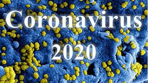 Coronavirus subcommittee holds hearing on election safety. æ–°åž‹å† çŠ¶ç—…æ¯'è‚ºç‚Žè¯Šç–—æ–¹æ¡ˆ è¯•è¡Œç¬¬ä¸ƒç‰ˆ