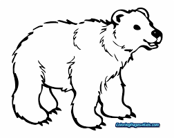 Check spelling or type a new query. Brown Bear Coloring Pages For Kids Page Bear Clipart Black And White Transparent Background Transparent Png Download 3107229 Vippng