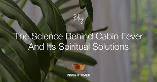 The concept can have real ramifications. Cabin Fever Its Reserach Symptoms Cure Insight Timer Blog