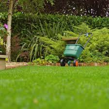 Will my lawn recover from dollar spo. Scotts The Official Uk Site