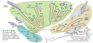 狂野 海底 性愛 邂逅- 深海巨獸與偷情慾女的熱情 肉慾 碰撞