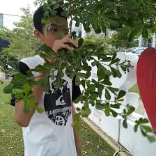 On their way they look at an announcement. Buatlah Dialog Bahasa Inggris Menggunakan Too And Enough Tentang Ada Tes Hari Ini Temanmu Brainly Co Id