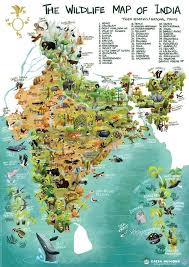 Green Humour The Wildlife Map Of India India Poster India Map Wildlife Of India