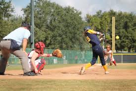 Obstacles don't have to stop you. 76 Quotes On Softball Amazing Fastpitch Wisdom To Share