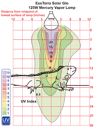 Reptile Lighting Information Reptiles Magazine