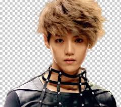 Trio whole exome sequencing / wes. Exo M History Wolf Lu Han Png Clipart Animals Brown Hair Chanyeol Exo Exom Free Png