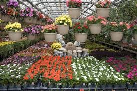 Our selection is second to none. The 30 Best Garden And Landscaping Centers In New Jersey Essex Home Improvements