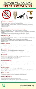 Human Medications That Are Poisonous To Pets Infographic Pet Medications Pet Care Logo Animal Infographic