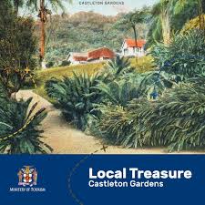 Castleton Gardens is one of Jamaica's oldest botanical gardens. Located in  the parish of St. Mary, Castleton boasts a beautiful 15-acre garden with  over 180 species of palm and other exotic trees