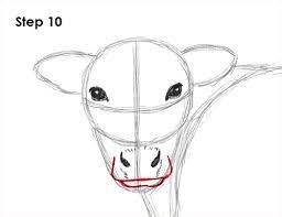 Then, draw some folds of extra skin underneath the bovine's face. How To Draw A Cow