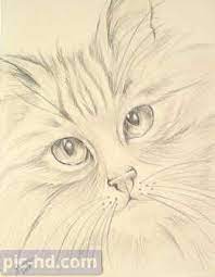 رمزيات بنات محجبات اجمل صور رمزيات بنات كيوت رمزيات كشخه للبنات animal drawings sketches folk art painting animal drawings