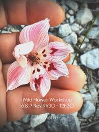 Image result for Rothmannia macrosiphon