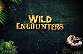 wild Encounters