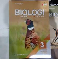 Check spelling or type a new query. Kunci Jawaban Biologi Erlangga 12 Masnurul