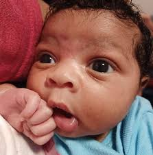 Which WiFi/internet company is recommended in Zion?