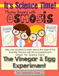 Maybe you would like to learn more about one of these? 27 Idees De Bouncy Egg Science Activite Scientifique Experience Scientifique Enfant