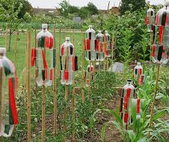 Bird Scarers Allotment Gardening Lawn And Garden Small Space Gardening