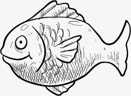 Ikan Fish