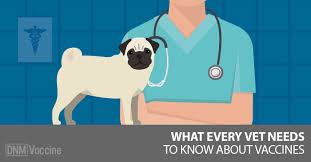 What Every Vet And Dog Owner Should Know About Vaccines