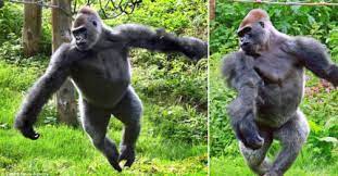 動物| TEEPR 亮新聞| Page 576