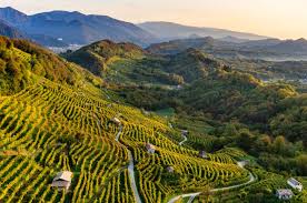 Conegliano è collina e pianura, pietroni incastrati nella terra, l'idea di una fortezza basata sul fa un caldo assassino, a conegliano e nella marca di treviso. Understanding Prosecco Conegliano Valdobbiadene Superiore Decanter