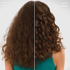 No Frizz Free Shipping Dry Frizzy Hair Frizzy Short Hair Frizzy Hair Tips