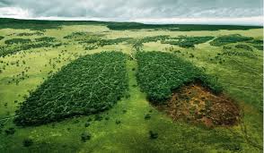 Resultado de imagen para naturaleza con frases