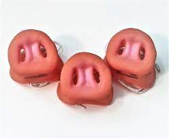 Oink Pig Snouts Set Of 3 Pig Farming Pig Pig Nose