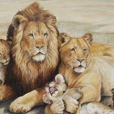 Original Ron Rophar Oil Painting Of A Lion Pride Signed Make Offer Animals Animal Paintings Lion Painting