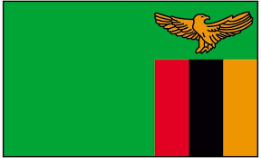 The flag of zambia is the national flag of zambia. James Hall On Twitter What S That Bird On Zambia S Flag It S The African Fish Eagle Symbolising A People Flying To New Heights And Copper In Colour Like The Strip Representing Zambian Mineral