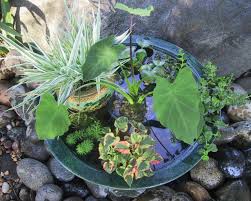 making a pond in a pot