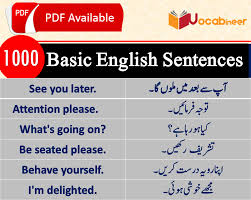 Basic English Sentences With Urdu Meanings Pdf Short Sentences In Urdu In 2020 Basic English Sentences Learn English Words English Vocabulary Words