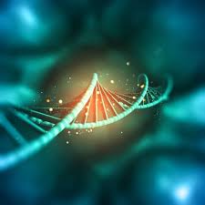 Codominance in genetics is a type of interaction between alleles. Codominance Definition Examples And Practice Problems Biology Junction