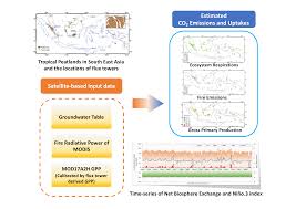 The red balloon carbon monoxide detector is easy to assemble and makes for an excellent project for beginners and even kids. Remote Sensing Free Full Text Satellite Based Estimation Of Carbon Dioxide Budget In Tropical Peatland Ecosystems Html