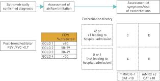 The gold report breaks down the classifications and stages of copd into two categories. Copd Revision Notes Epomedicine
