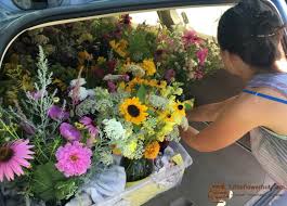 Smile floral maintains a close relationship with our flower farms. Pin On Flowers