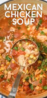 Use the leftover turkey carcass with any leftover turkey meat along with an onion, a few stalks of celery, some garlic, herbs, and anything else you find in your refrigerator and let it and yes, you can do this with chicken too! Mexican Chicken Soup Ww Recipe Crazy For Crust