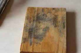 Add 1 teaspoon bleach to 1 quart water and spread the solution over the board (you don't want to fully submerge the board, but you might place it in a basin to help contain the liquid). How To Get Rid Of Black Cutting Board Mildew The Frugal Girl