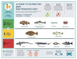 Sharks are predators that eat what is available. Safe To Eat Fish From The San Francisco Bay San Mateo County Health