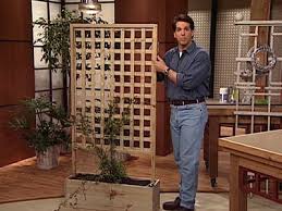 Diy, building, kitchen, deco and garden hypermarket offering the best prices and range. Roses How To Grow Roses Pictures Of Roses Rose Trellis Patio Privacy Diy Trellis