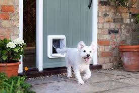 This is a great alternative to a panel pet door as it doesn't take. The Ultimate Guide To Dog Door Types In Australia Sydney Wide Pet Doors