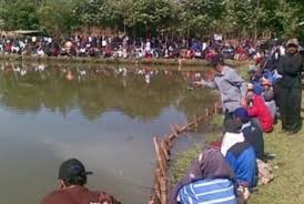 Pemancingan Ikan Monster Daya Tarik Wisata Subang Republika Online