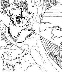 1001 Ausmalbilder Tiere Bar Ausmalbild Koala Bar