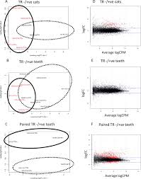 Anything that would make your teeth or the broken tooth must be extracted or have a root canal to avoid lifelong pain. Transcriptomic Profiling Of Feline Teeth Highlights The Role Of Matrix Metalloproteinase 9 Mmp9 In Tooth Resorption Scientific Reports