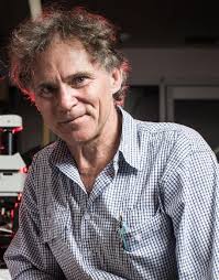 Cerutti Mastodon Site Author Bios