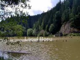 We did not find results for: 25 Cele Mai Frumoase Locuri Din Romania Youtube